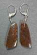 Orange/Brown Spiderweb Dinosaur Gembone Earrings #22526-1